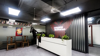 蓝狮总公司