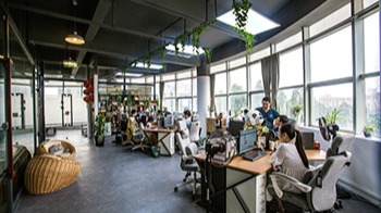 蓝狮在线办公风采