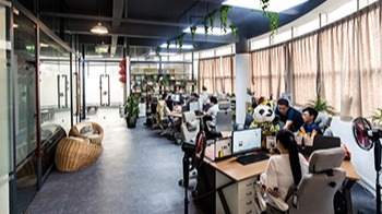 蓝狮在线员工办公风采